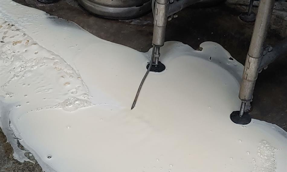 2020-7-8-913Pivovar Nymburk_2.jpg